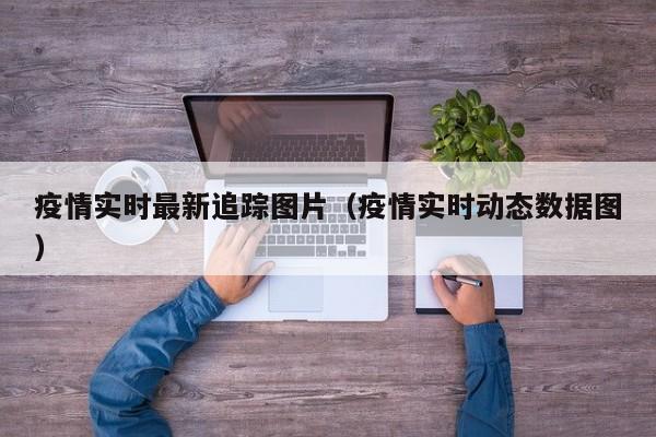 疫情实时最新追踪图片（疫情实时动态数据图）