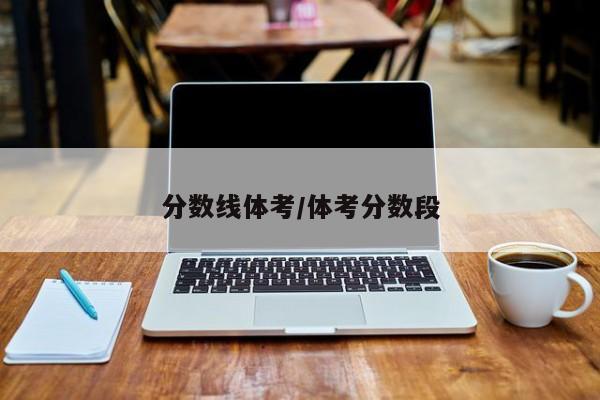 分数线体考／体考分数段