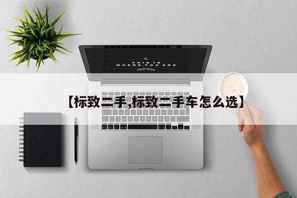 【标致二手,标致二手车怎么选】