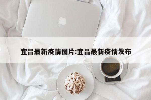 宜昌最新疫情图片：宜昌最新疫情发布